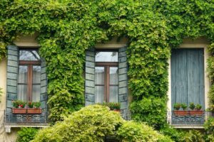 Outdoor home decor